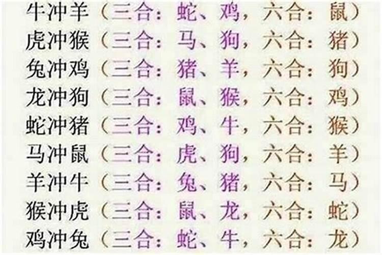 七字开的生肖