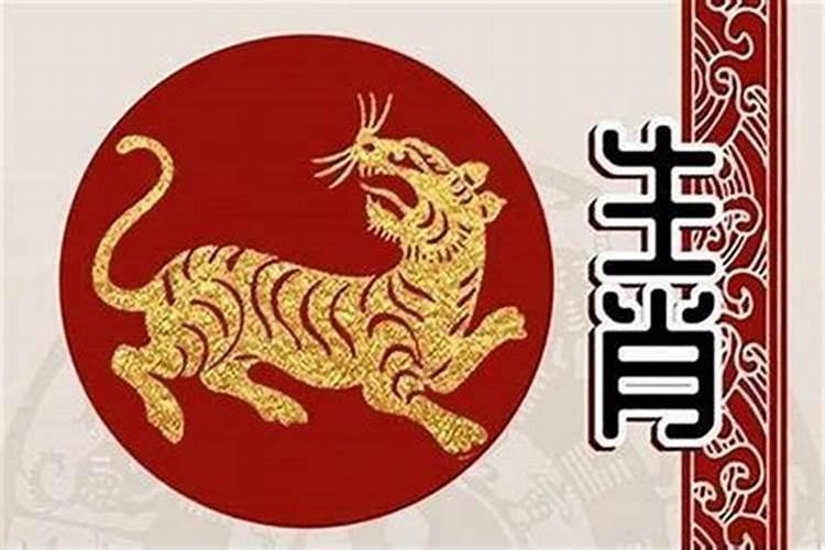 两个都是98年的属虎能结婚吗为什么