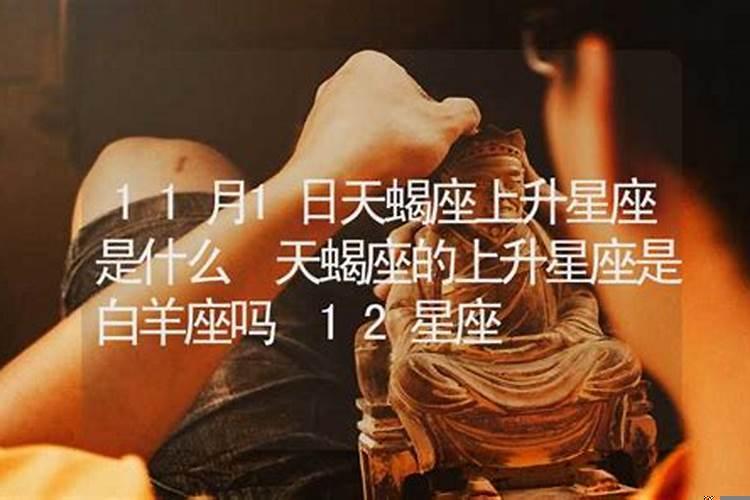 11月10号天蝎座的上升星座是什么意思