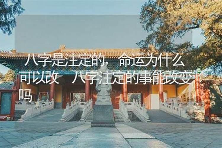 大运走偏官运是什么意思