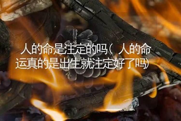 命运是注定好了吗人生啊