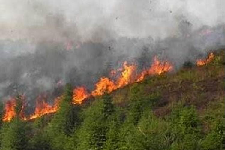 女人梦见大火烧山被雨水扑灭