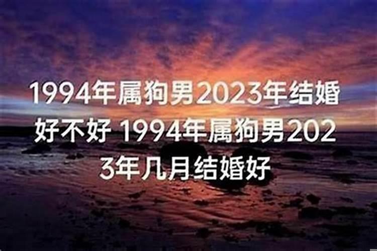 94年属狗2023年结婚吉日