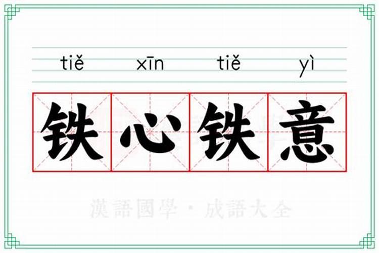 指什么生肖铁心铁意
