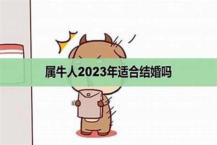 2021年立春适合拜太岁吗