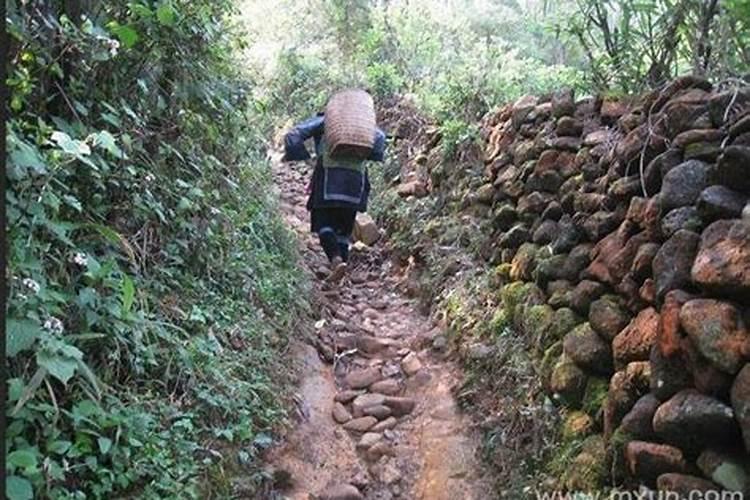 梦到在走山路