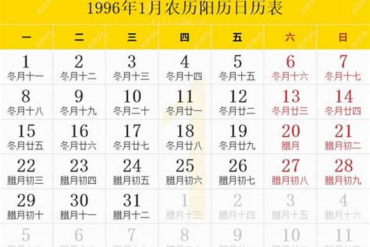 阳历1996年1月21日是什么星座的