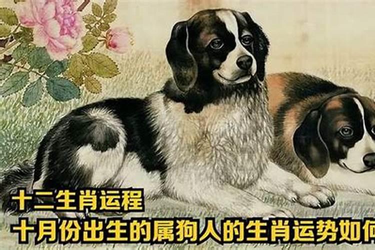 梦见参加婚礼是什么预兆