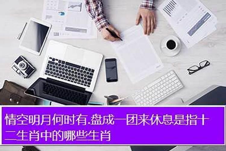 抱成一团来休息是什么生肖