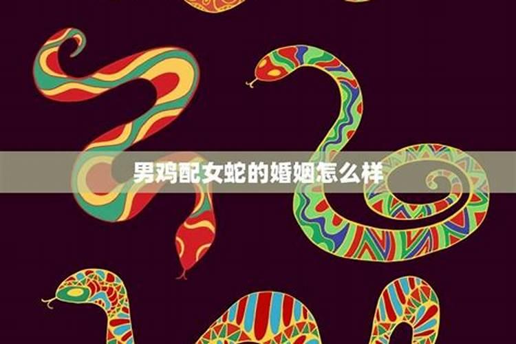 属猪83年的2021年运势怎么样