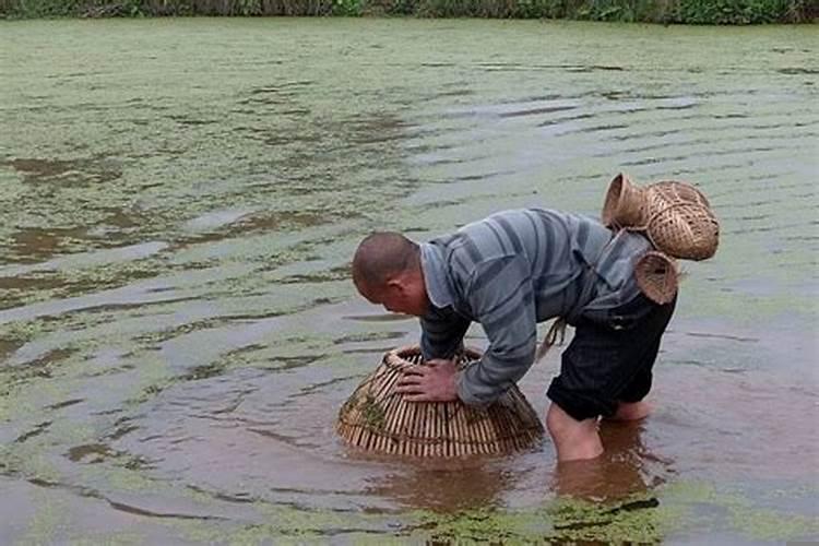 男人梦见逮鱼什么意思