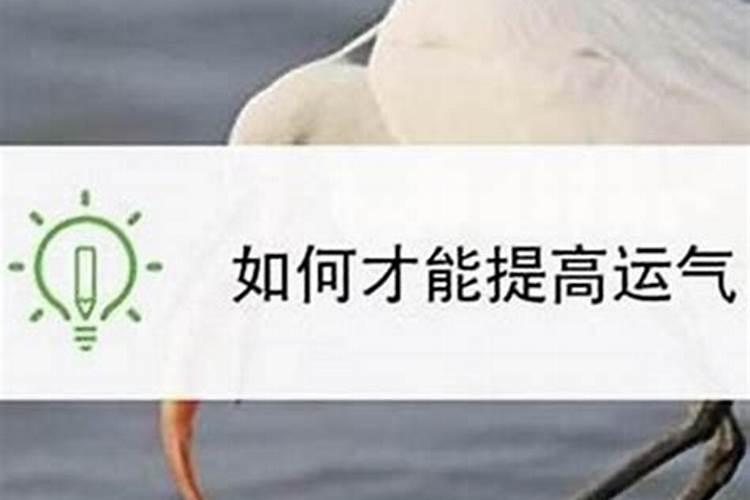 男朋友家里说八字不合怎么办