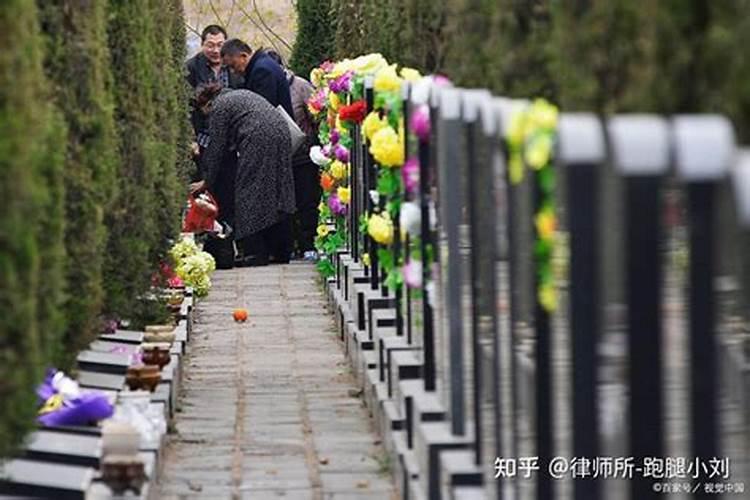 梦见有人拿着蛇甩来甩去