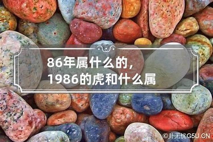 1986年是属啥属相