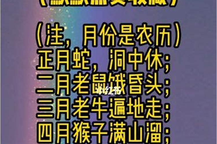 属兔犯月份是几月份农历