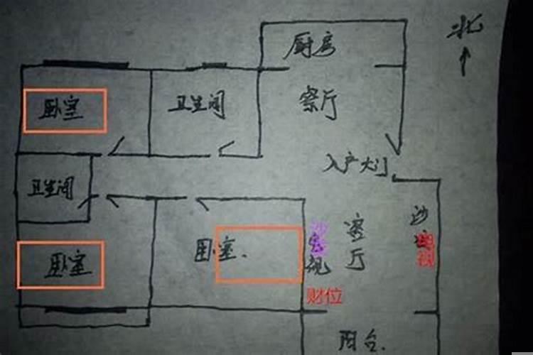 梦见西红柿是怎么回事儿