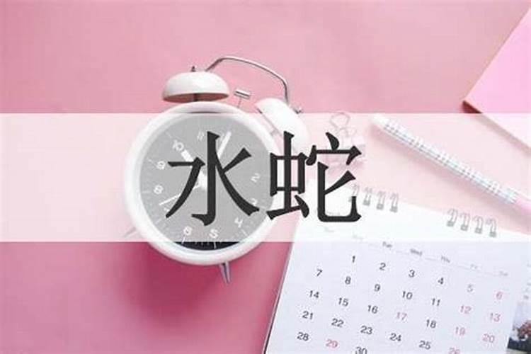 生肖水蛇是什么意思