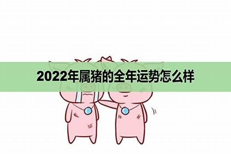 2022年属猪人的全年财运如何