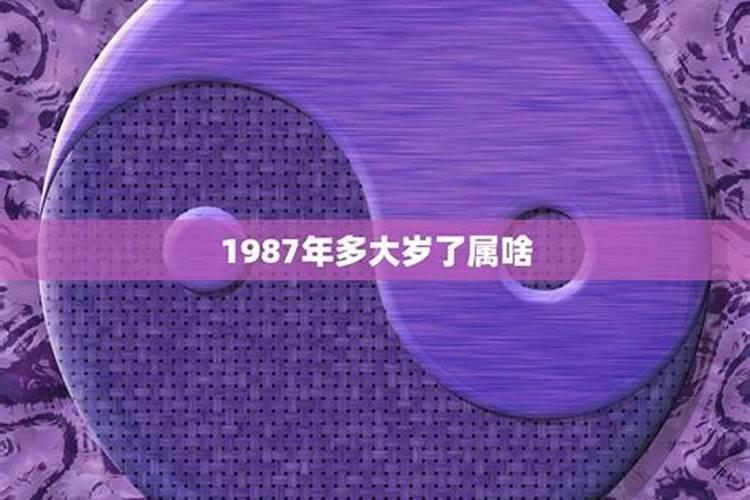 1987年出生是什么属相的人