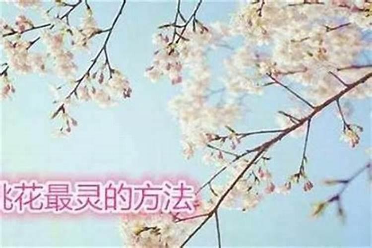 生辰八字的桃花带劫什么意思