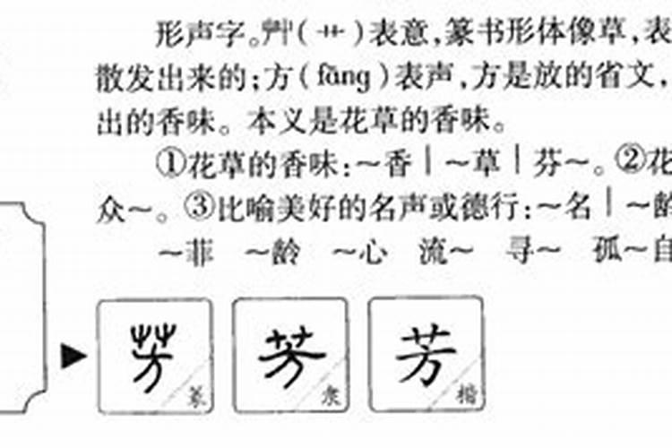 芳字属于五行属什么行