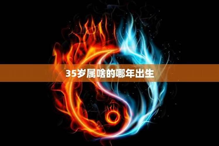 35岁属什么生肖那年出生