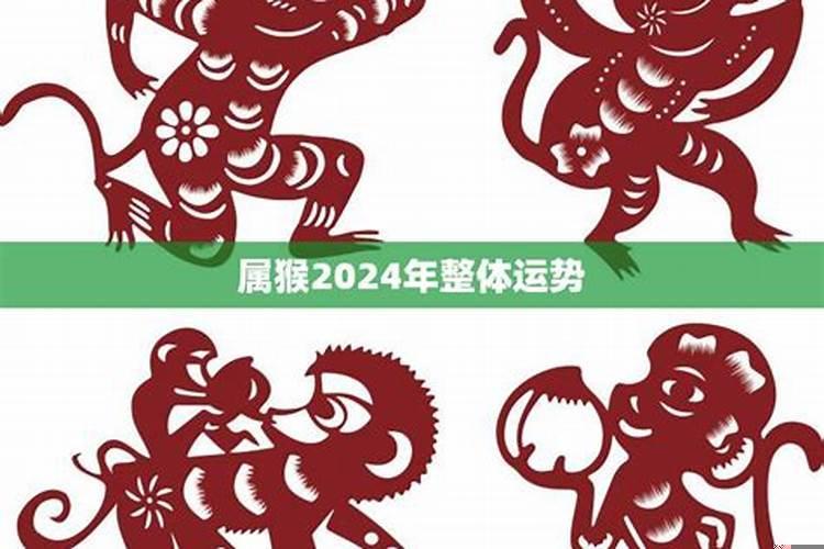 属猴2024年