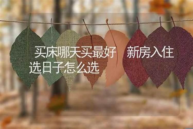 本命年梦见老虎追我