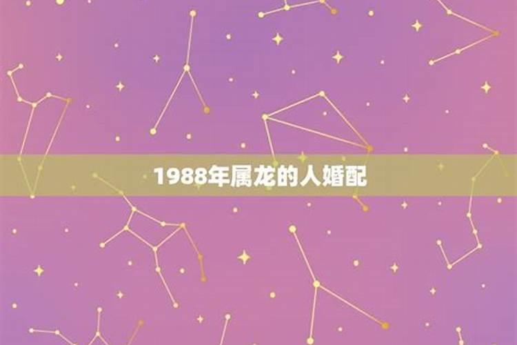 1988年属龙人34岁后命运