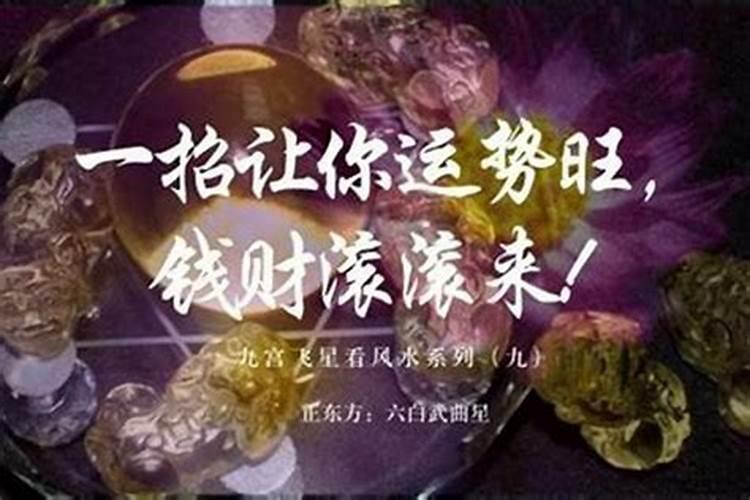 梦见捡枣吃是什么预兆