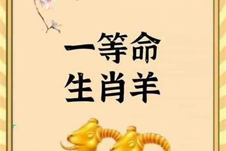 属羊哪几年运势好