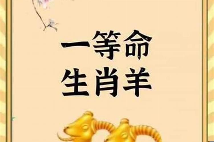 属羊哪几年运势好