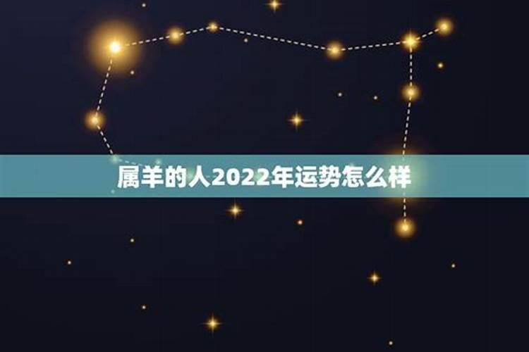 属羊的人2022年的运势