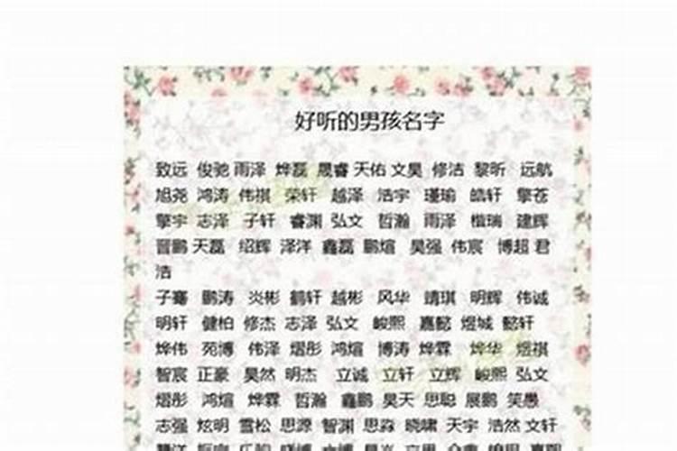 王姓男孩名字2022年属兔起名字