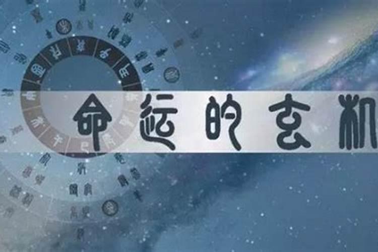 孕妇梦见公鸡什么意思