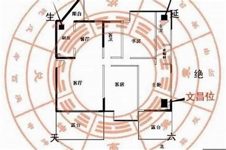 天顶金牛星座是什么意思呀