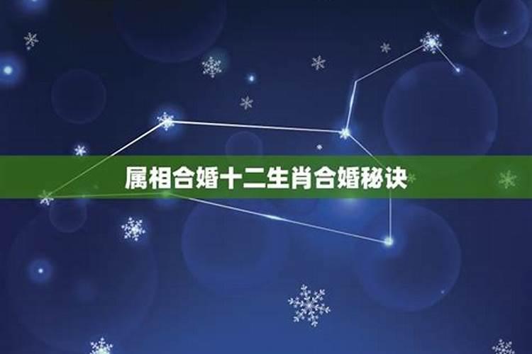 双鱼座男生的优点和缺点