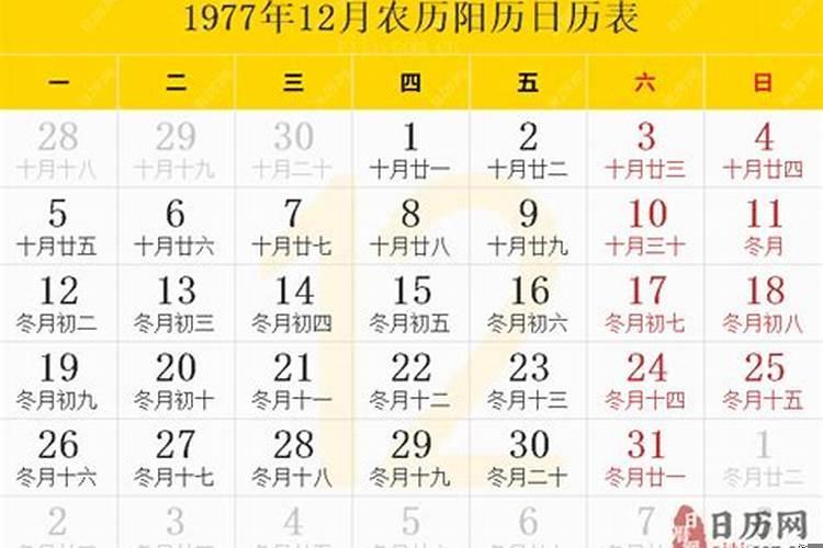 1977年11月出生的运势