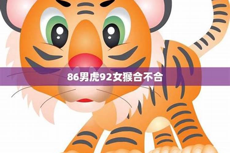 2023年冬至出生的猪宝宝名字