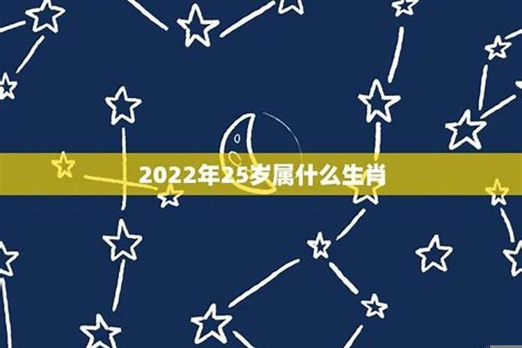 25岁属什么的今年2022