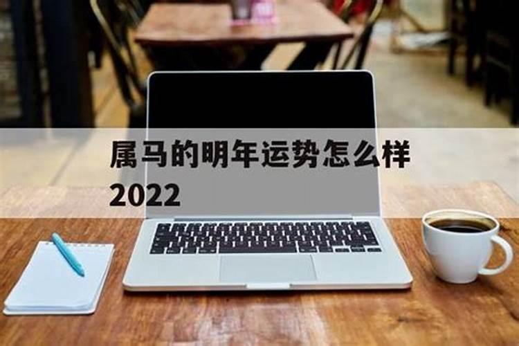 属马的明年运势怎么样2022