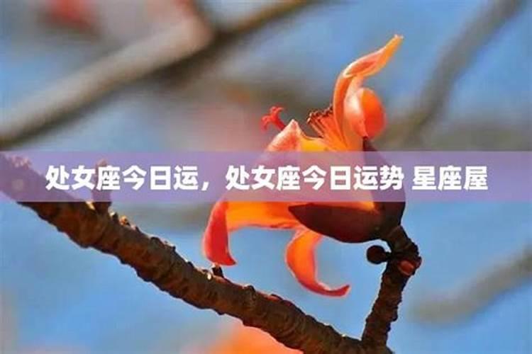 梦到别人送花给我老公