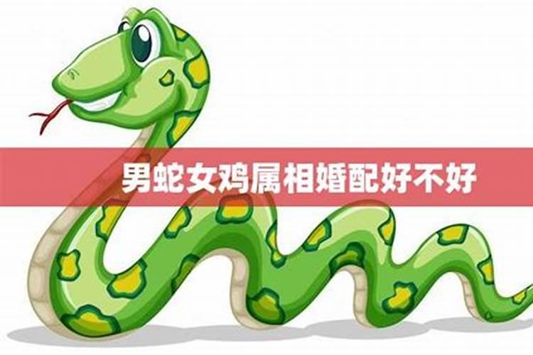 梦到前夫给我过生日