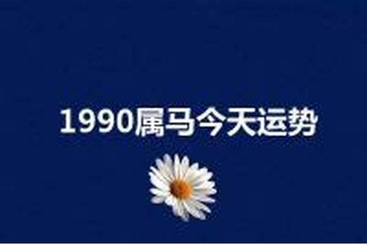 1990属马今日运势查询