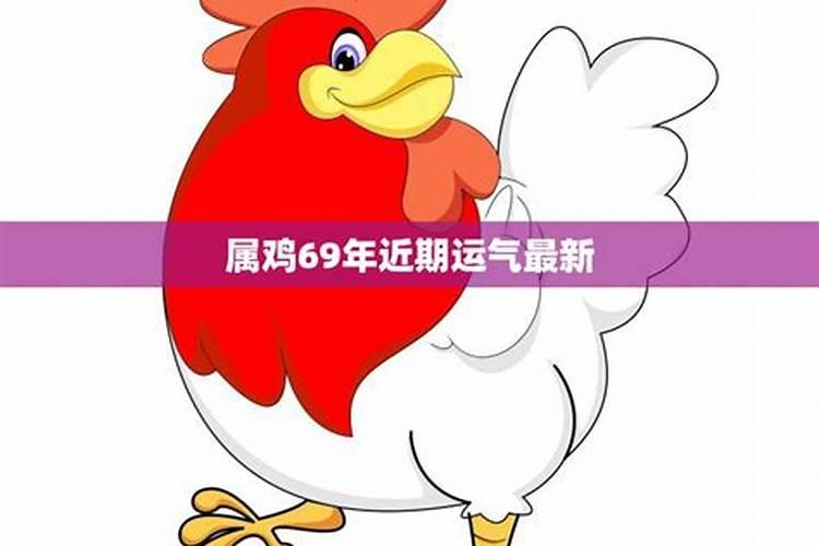 69年属鸡今日运势明日运势