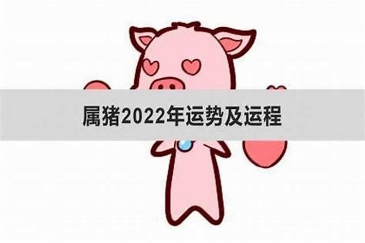 83年猪2021年运势完整版