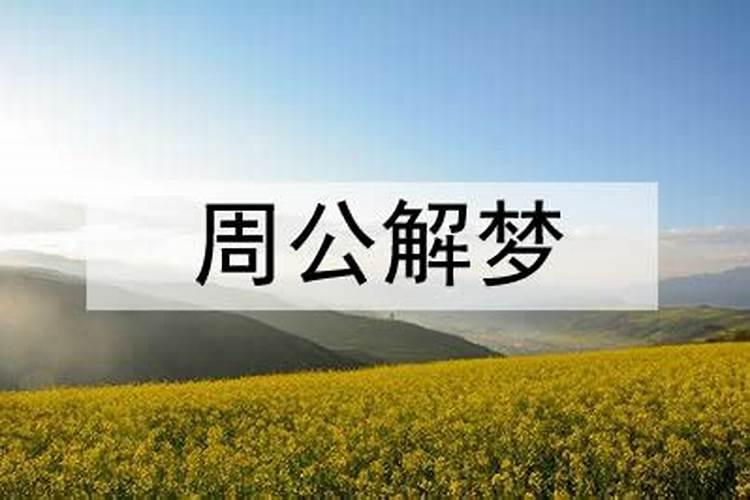 梦见和父亲回家是什么意思呀