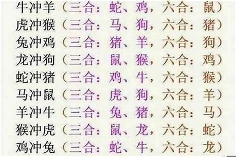 什么八字适合做官