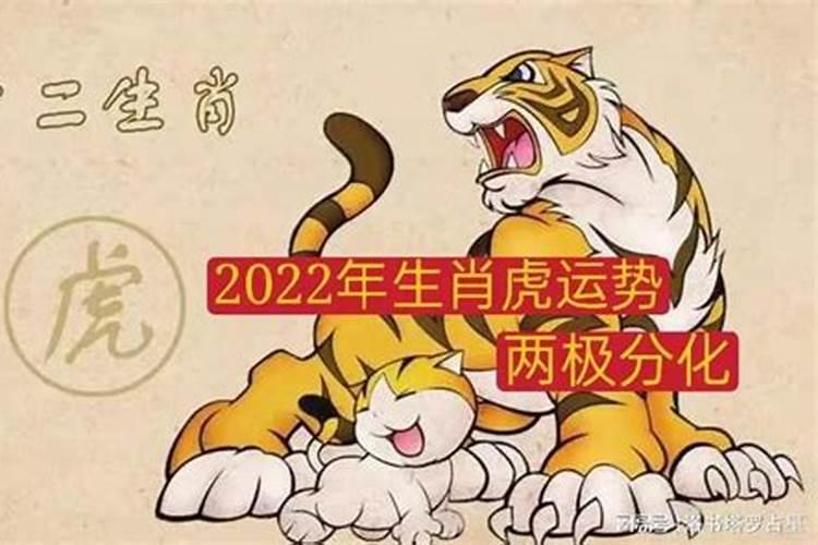 2022年生肖虎运势怎么样