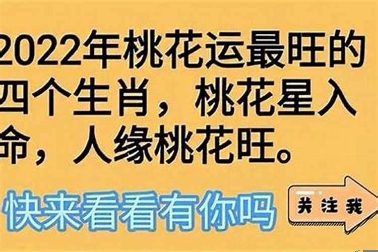 2022年桃花运的生肖